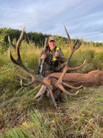 Clausen Red Stag call - Szarvasbőgő