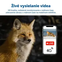 Vadkamera LunaVision Live View 4G
