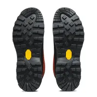 Blaze Scout MID GTX cipő