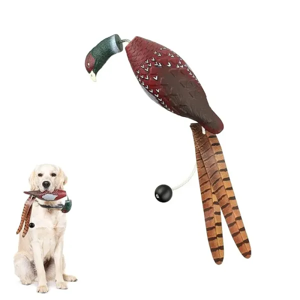 RYPO Dog Training - Kutyakiképző fácán - Pheasant