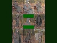 AMBUSH leszsák